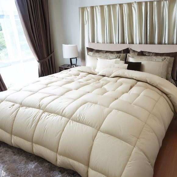 Hamvay Lang Down Pillows and Comforters