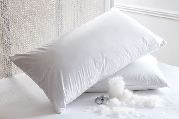 Hamvay Lang Down Pillows and Comforters