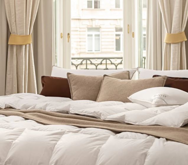 Hamvay Lang Down Pillows and Comforters